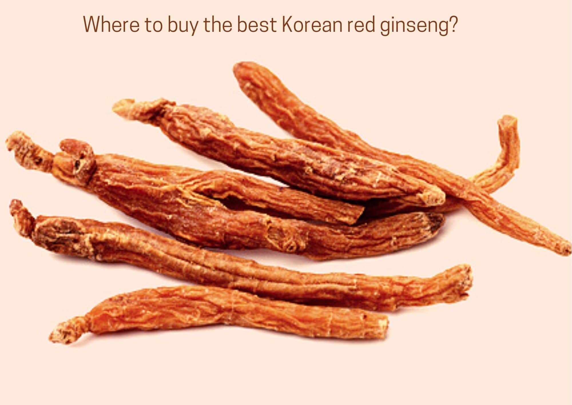 where to buy korean red ginseng