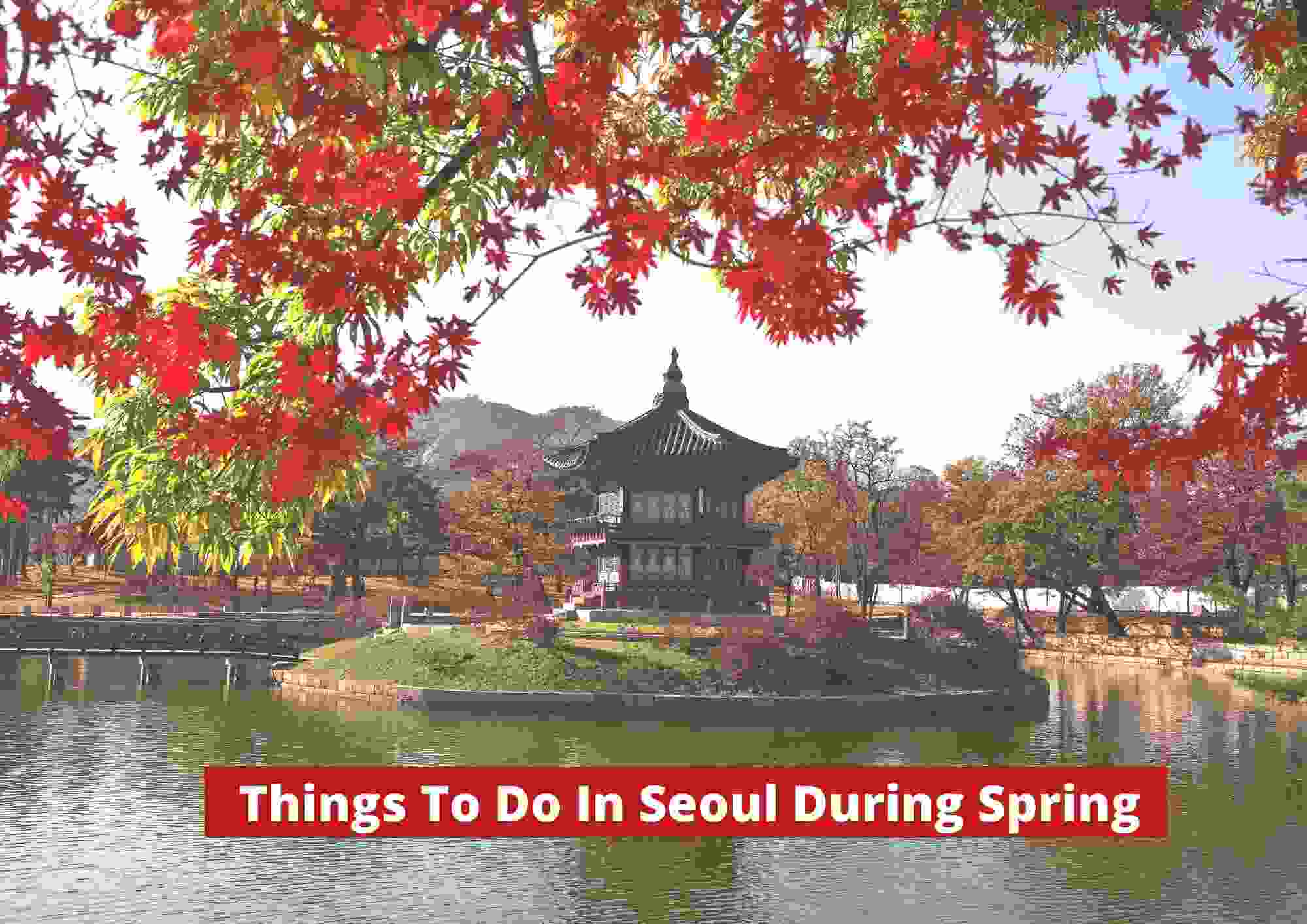 Things To Do In Seoul During Spring