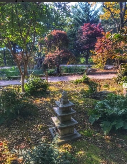 things to do in seoul