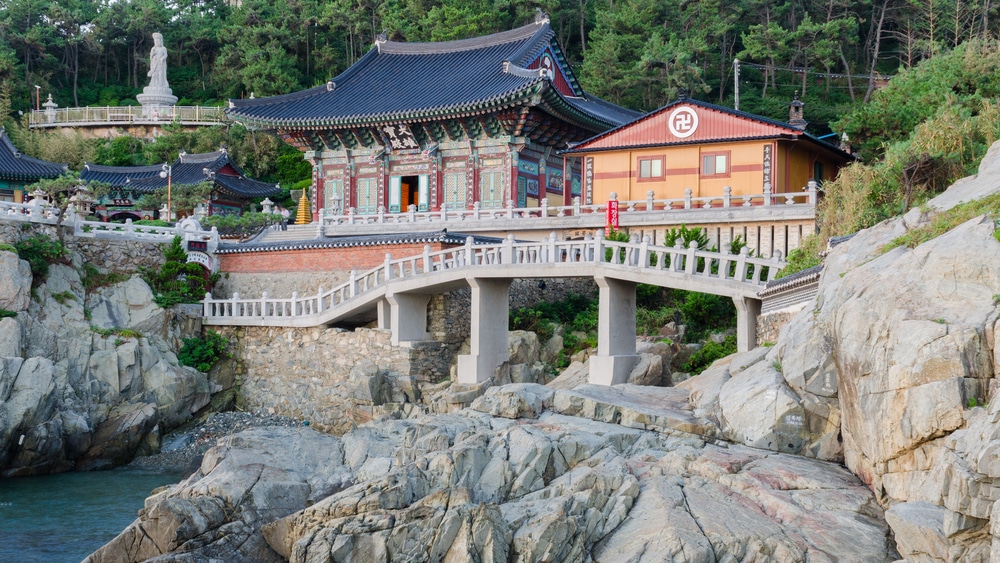 busan bucket list
