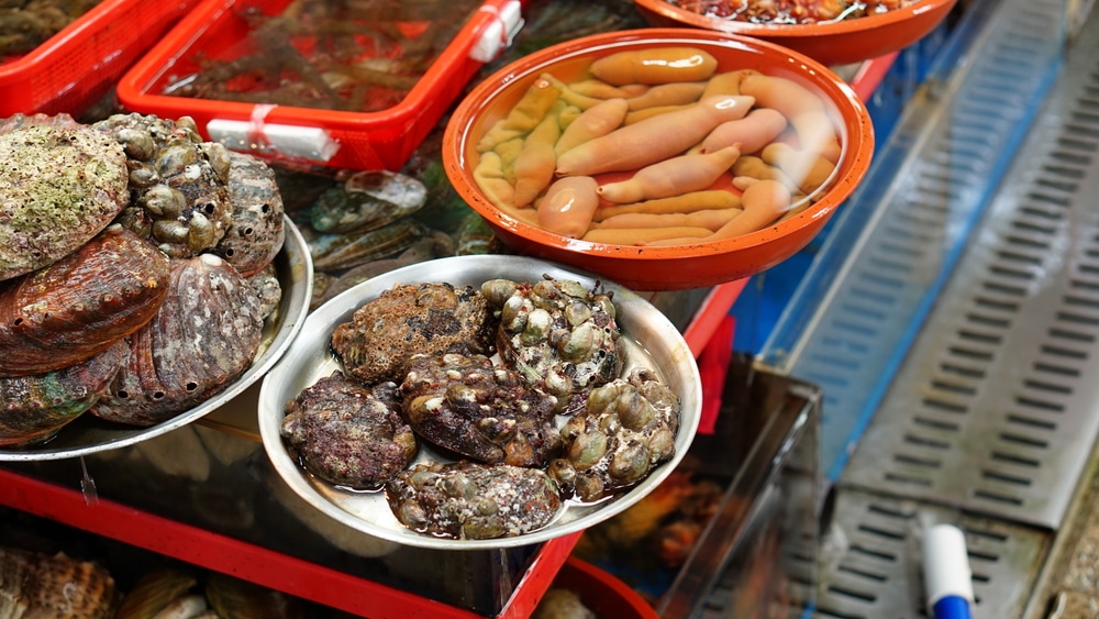 unusual things to do in busan