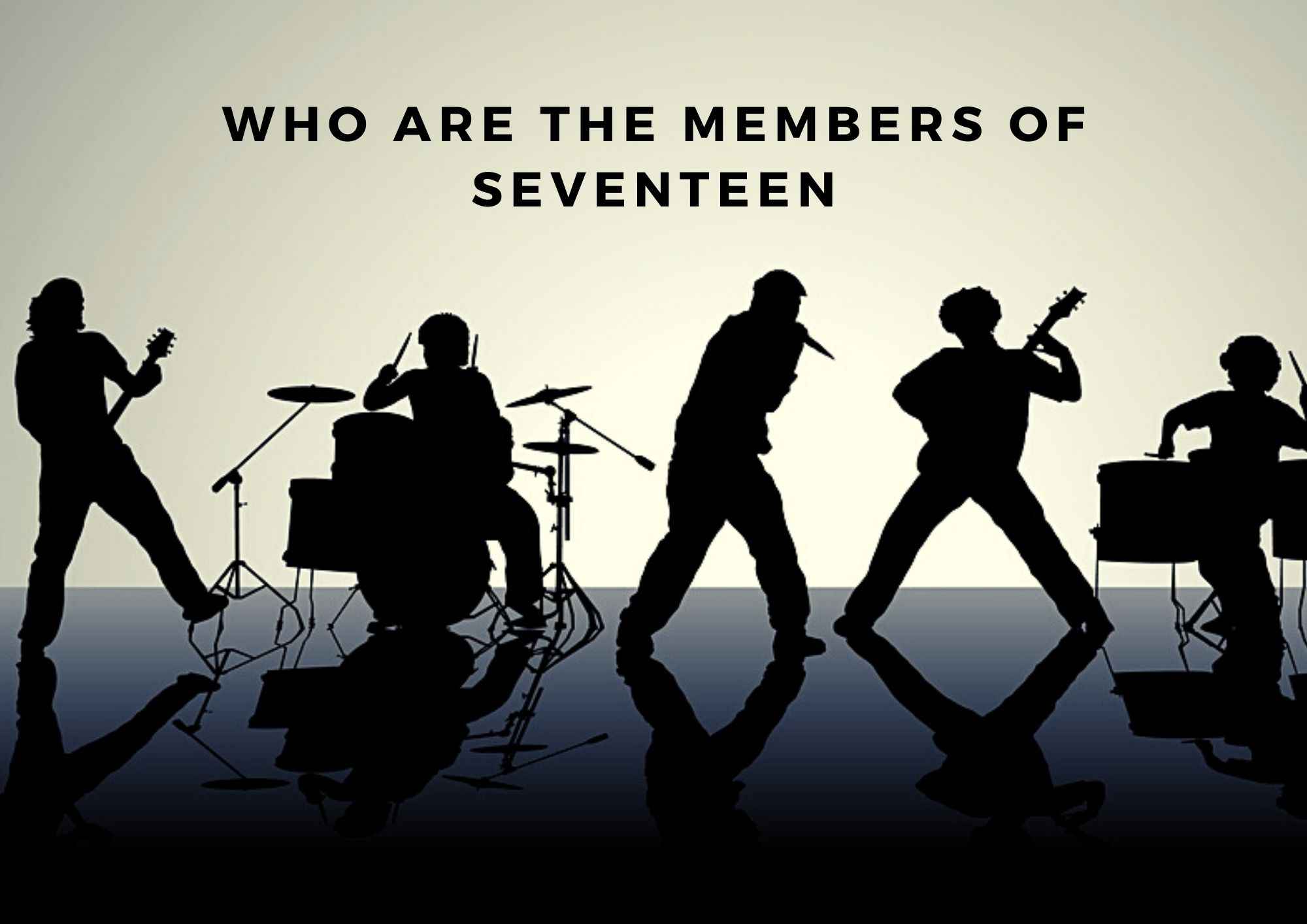 who are seventeen members