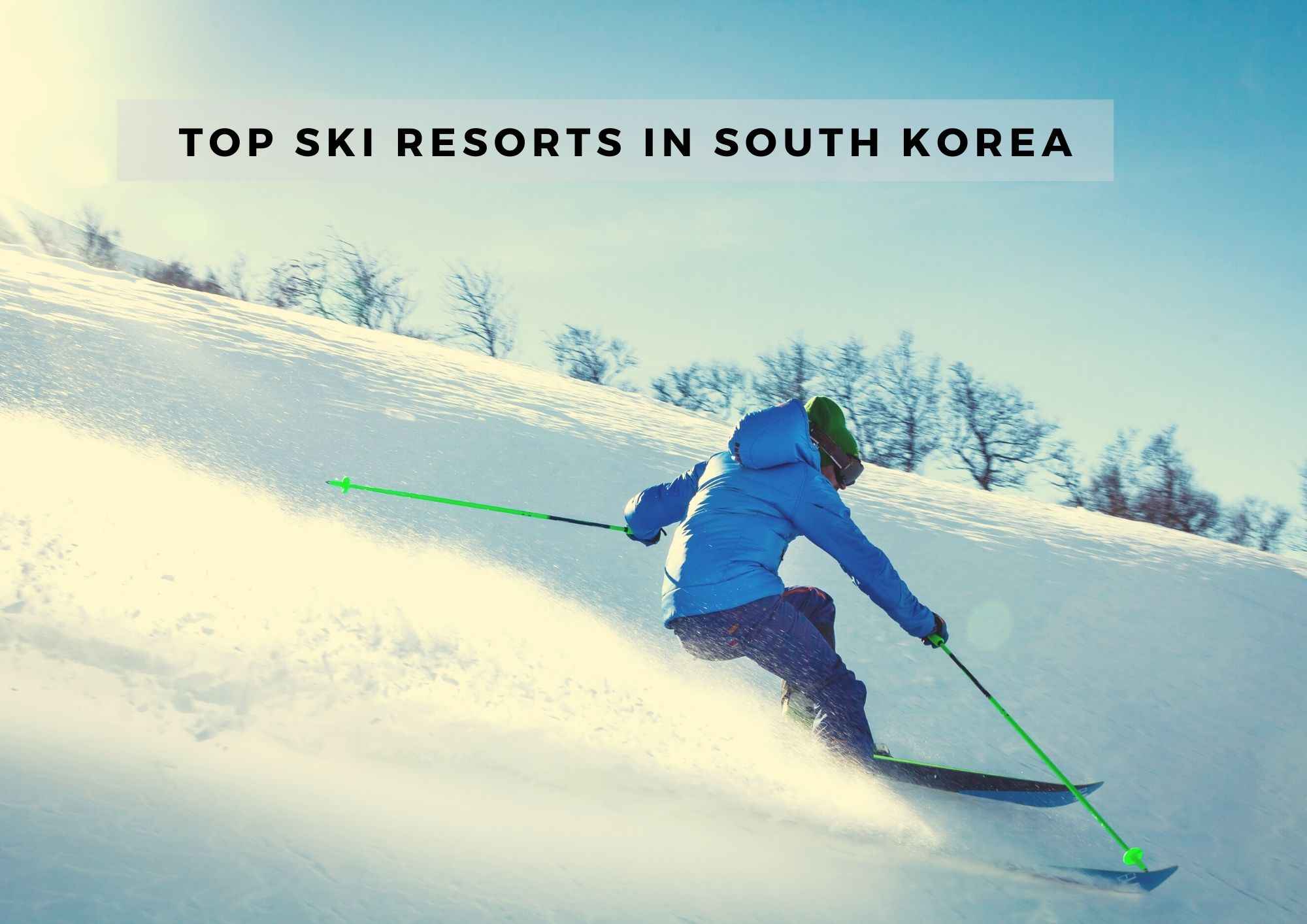 Top ski resorts in South Korea