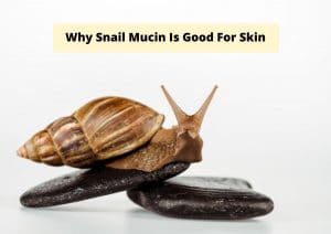 Why Snail Mucin Is Good For Skin