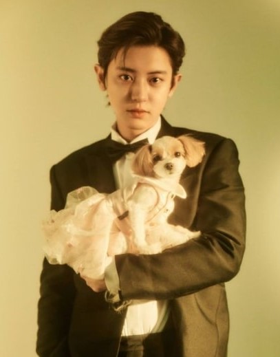 Top K-Pop Idols On Instagram
