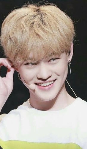kpop idols who have dimples