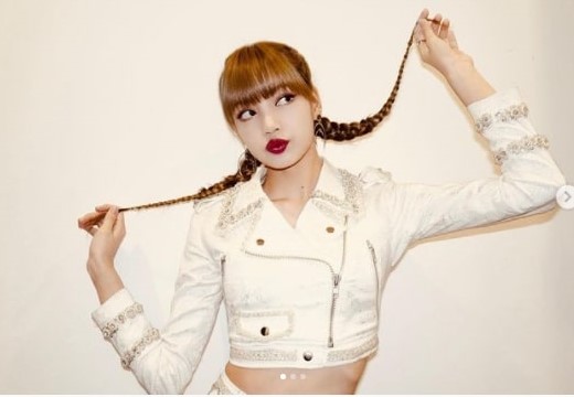 lisa braids hairstyle
