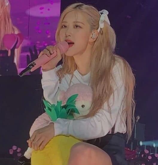 Kpop girl hairstyles 2022