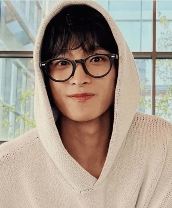 seventeen dk age