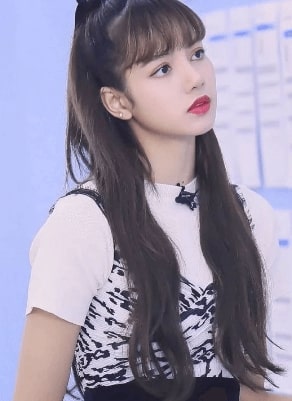 lisa blackpink father passed away