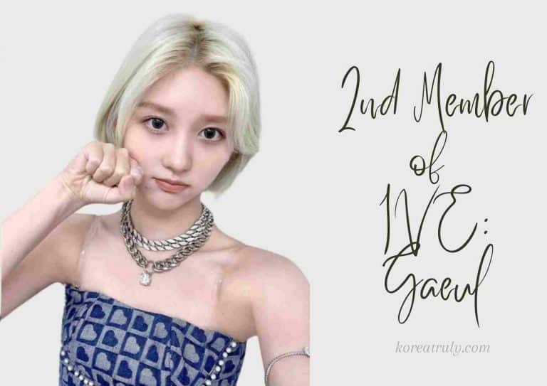 The Brilliant Main Dancer of IVE : Gaeul (2nd member)