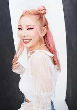 how many members in pink punk