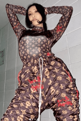 Does Hwasa fit Korean beauty standards